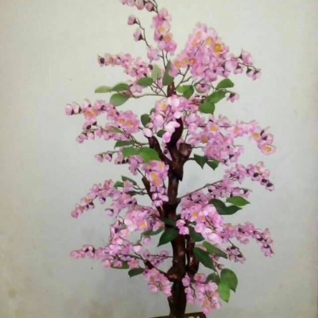 Detail Gambar Batang Pohon Sakura Nomer 17