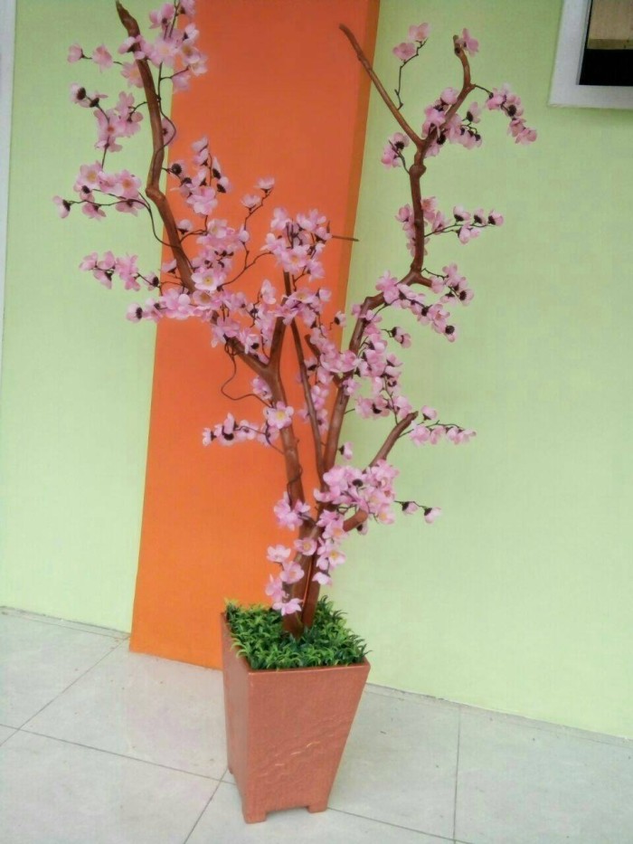 Detail Gambar Batang Pohon Sakura Nomer 34