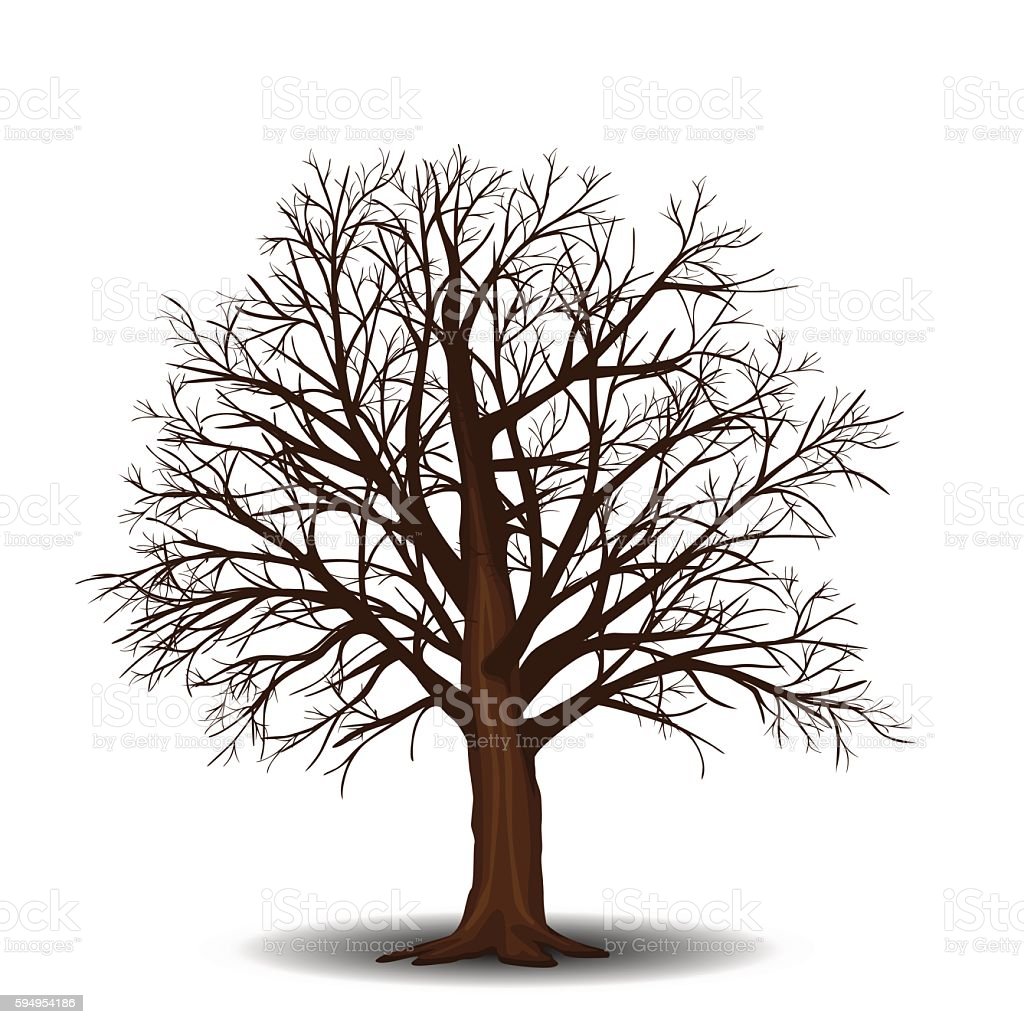 Detail Gambar Batang Pohon Tanpa Daun Nomer 14