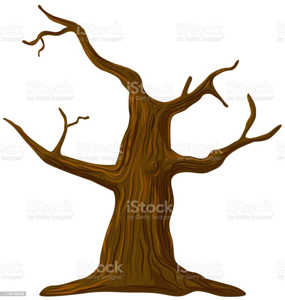 Detail Gambar Batang Pohon Tanpa Daun Nomer 15