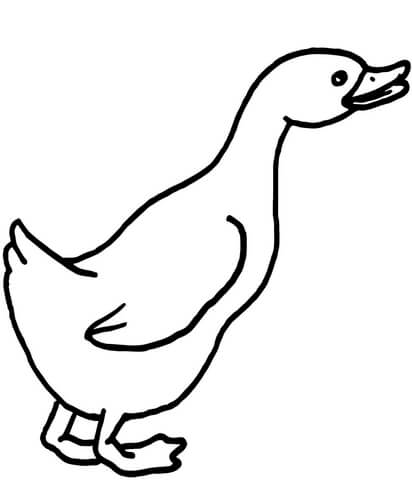 Detail Gans Ausmalbild Nomer 18