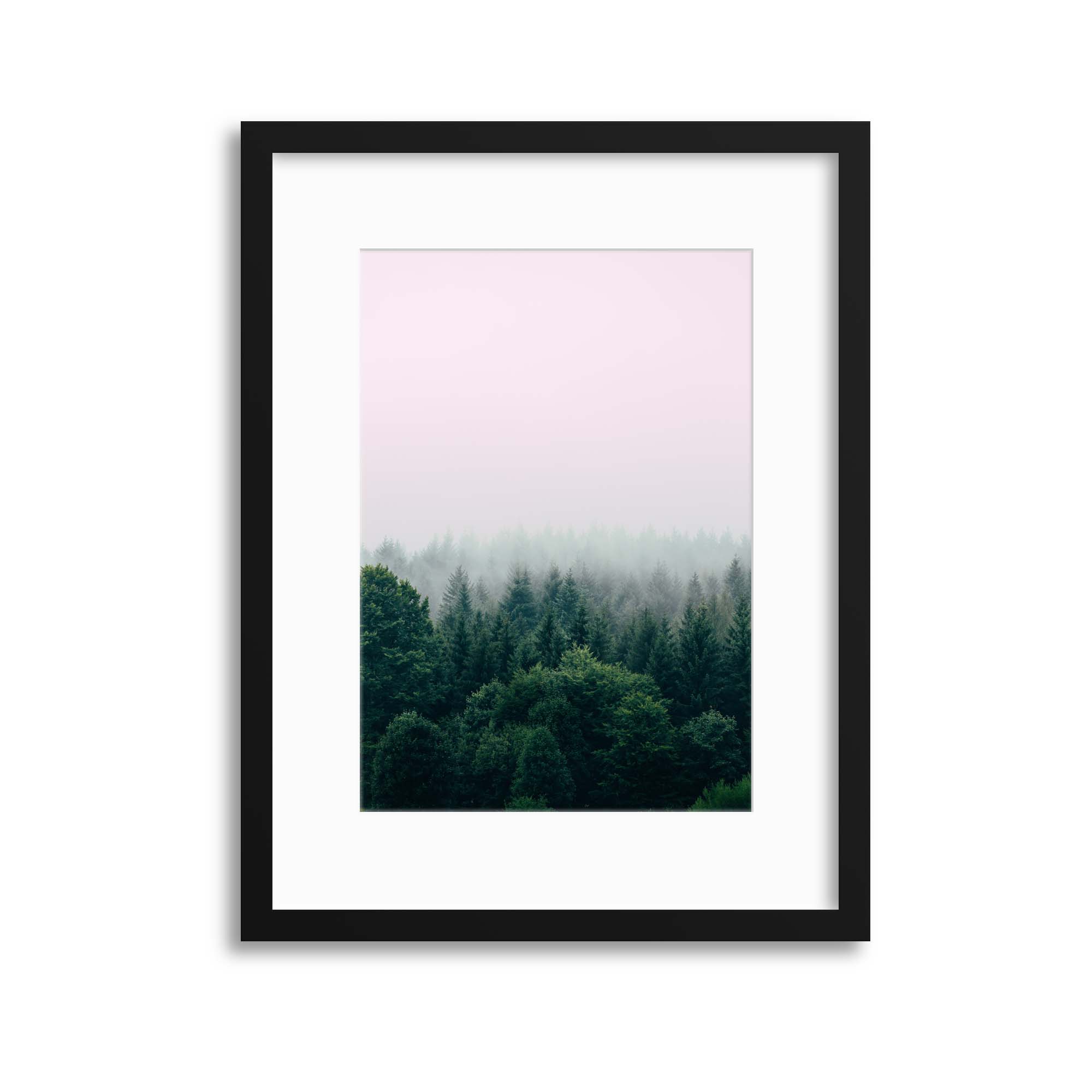 Detail Wald Mit Nebel Nomer 2