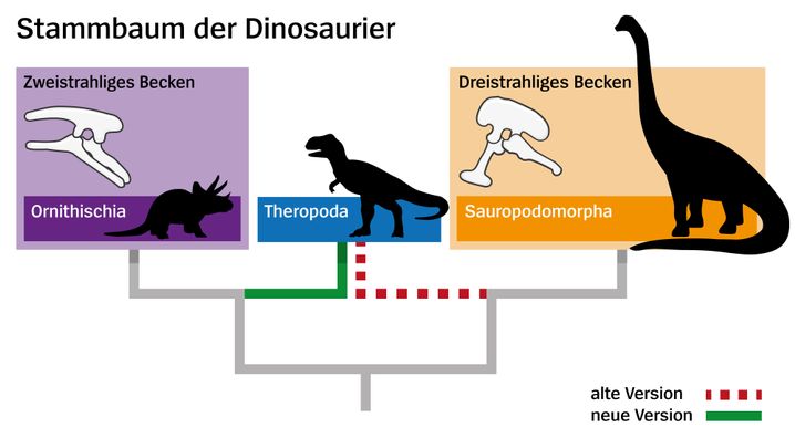 Detail Bilder Von Dinosaurier Nomer 26