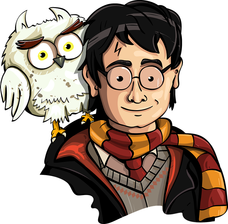 Detail Eule Hedwig Von Harry Potter Nomer 15