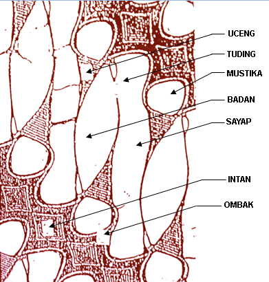 Detail Gambar Batik Parang Rusak Nomer 16