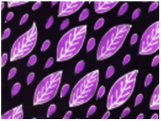 Detail Gambar Batik Sederhana Nomer 38