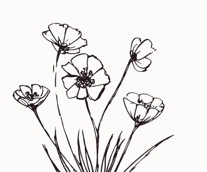 Detail Gambar Batk Bunga Dan Daun Yang Mudah Ditiru Nomer 38