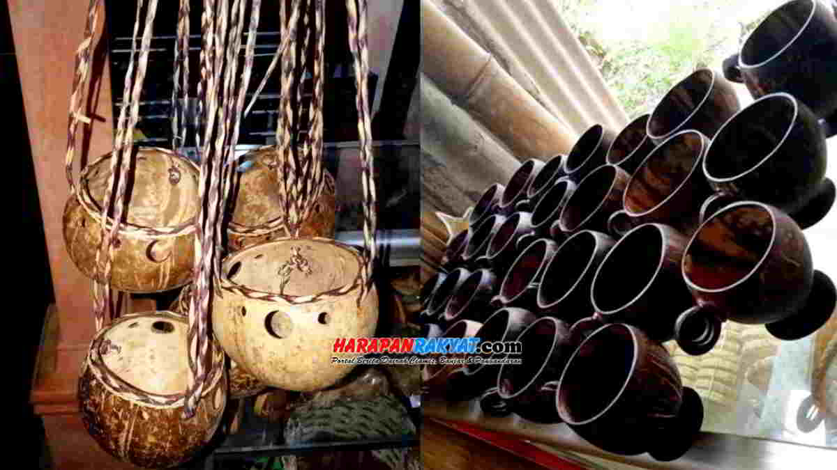 Detail Gambar Batok Kelapa Nomer 45