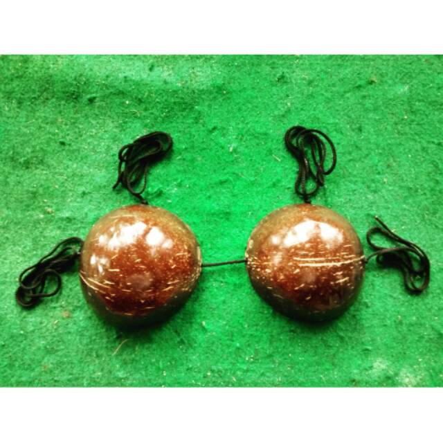 Detail Gambar Batok Kelapa Nomer 51