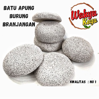 Detail Gambar Batu Apung Nomer 40