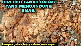 Detail Gambar Batu Cadas Nomer 28