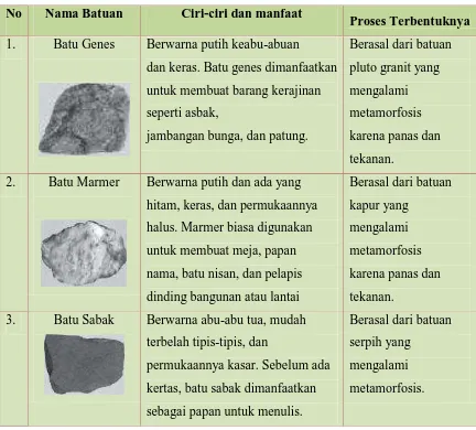 Detail Gambar Batu Genes Nomer 46