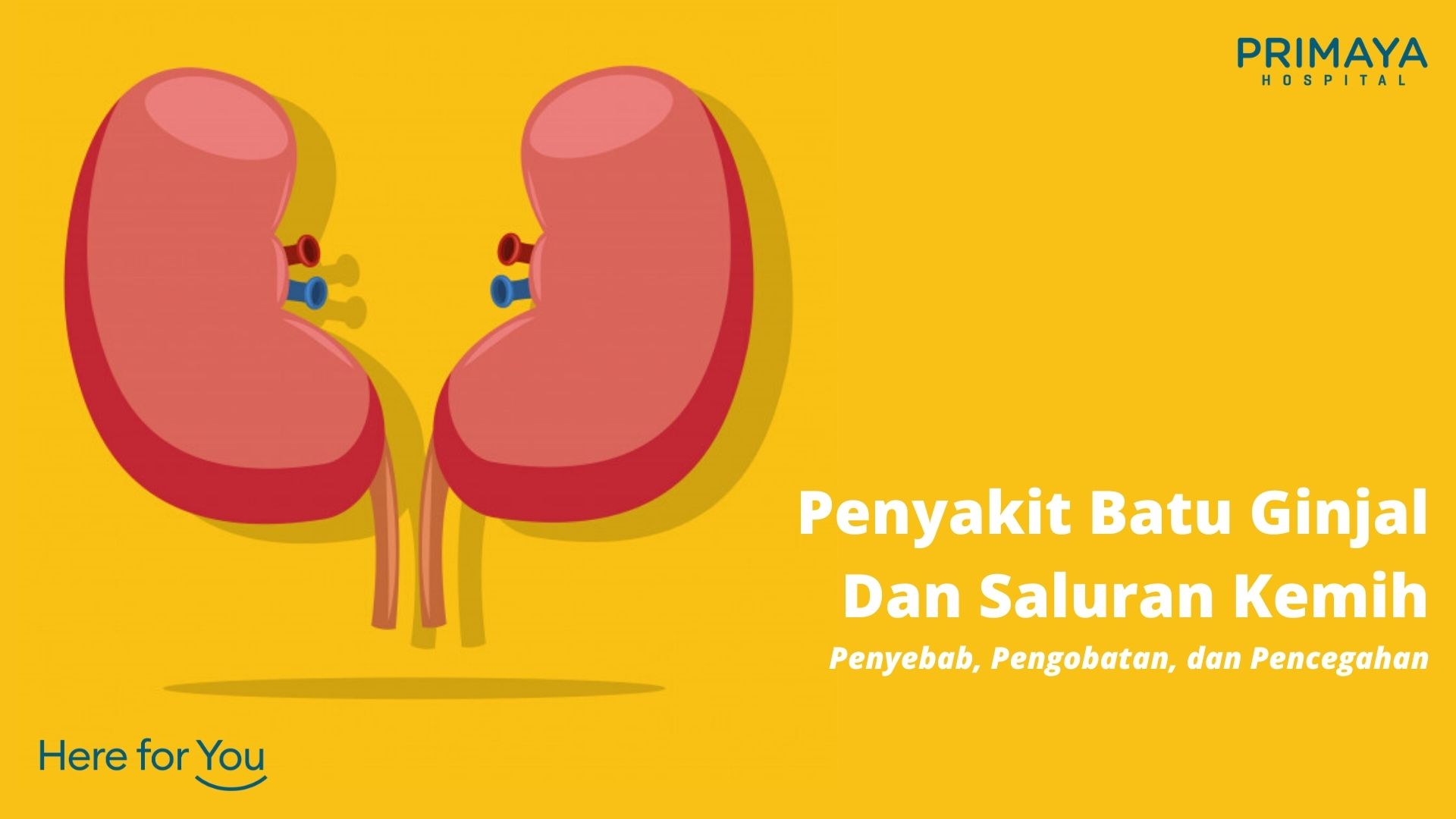 Detail Gambar Batu Kecil Keluar Dari Kemaluan Laki Laki Nomer 37