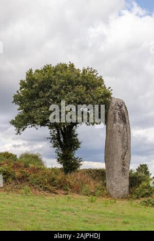 Detail Gambar Batu Menhir Nomer 46