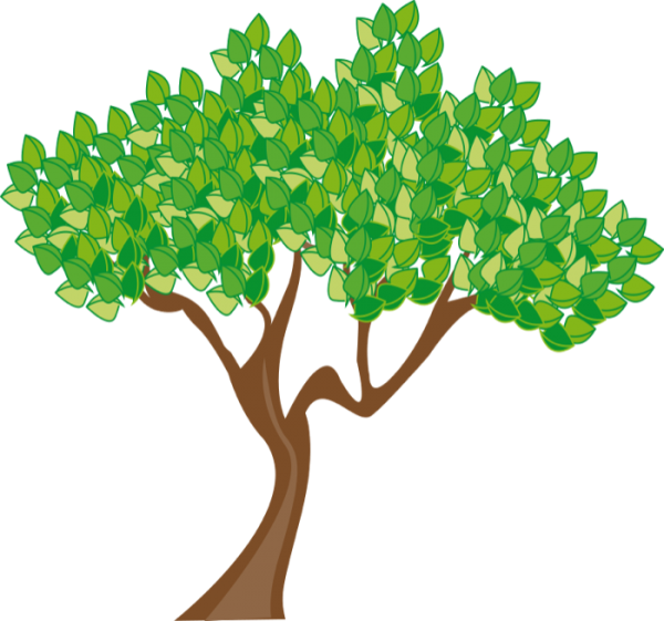 Detail Tree Cartoon Pic Nomer 23