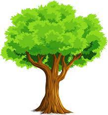 Detail Tree Cartoon Pic Nomer 3