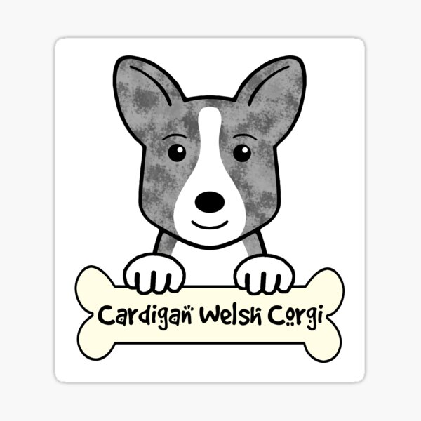 Detail Welsh Corgi Cardigan Welpen Nomer 18