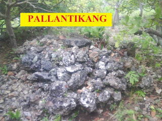 Detail Gambar Batu Pallantikang Nomer 3