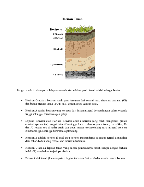 Detail Gambar Batuan Induk Nomer 31