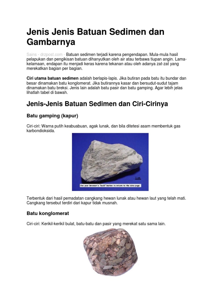 Detail Gambar Batuan Sedimen Nomer 14