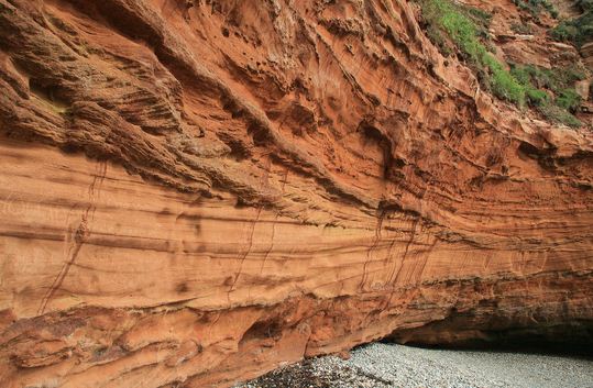 Detail Gambar Batuan Sedimen Organik Nomer 28