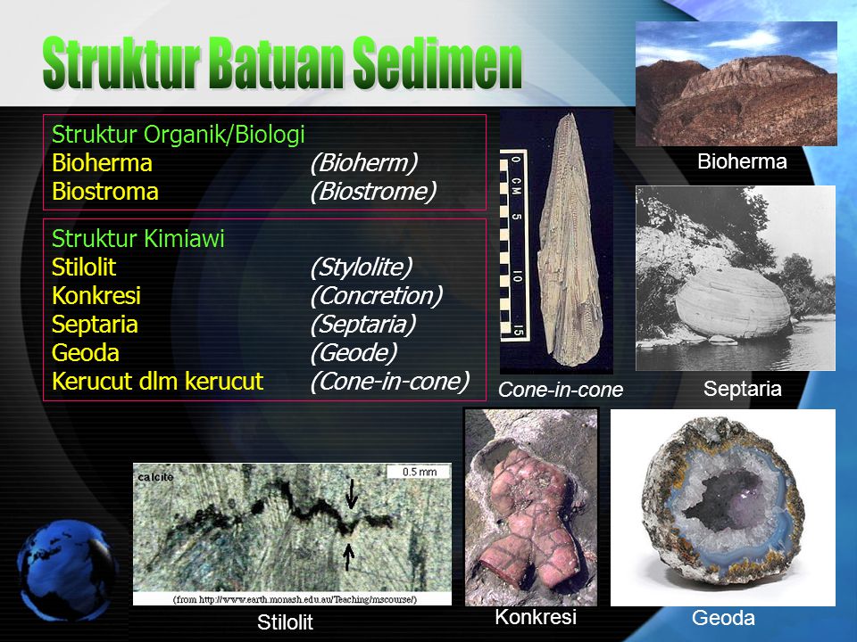 Detail Gambar Batuan Sedimen Organik Nomer 37