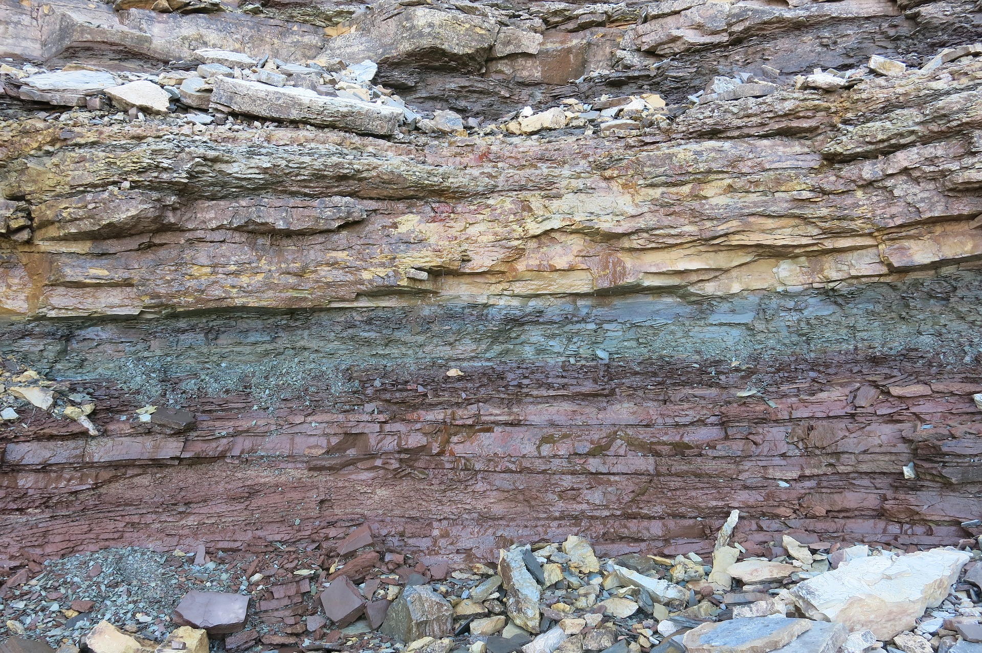 Detail Gambar Batuan Sedimen Organik Nomer 39