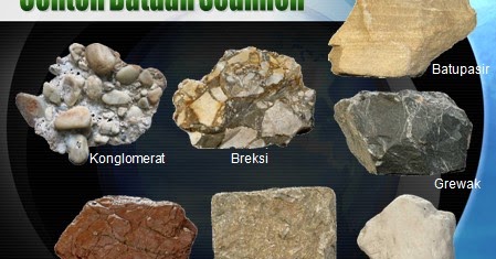 Detail Gambar Batuan Sedimen Organik Nomer 10