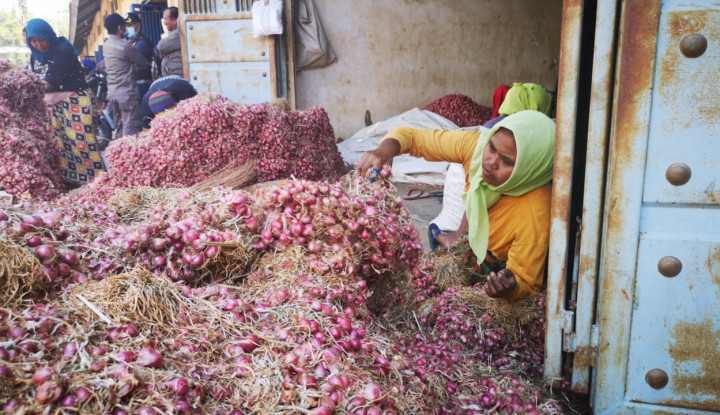 Detail Gambar Bawang Merah Yang Di Impor Nomer 37