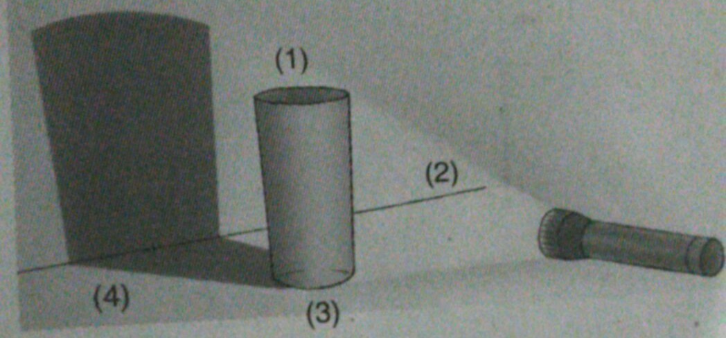 Detail Gambar Bayangan Benda Nomer 3