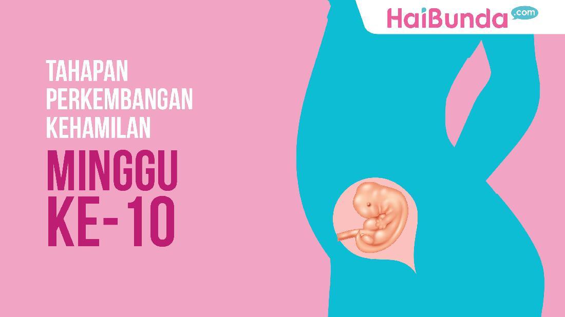 Gambar Bayi 10 Minggu - KibrisPDR