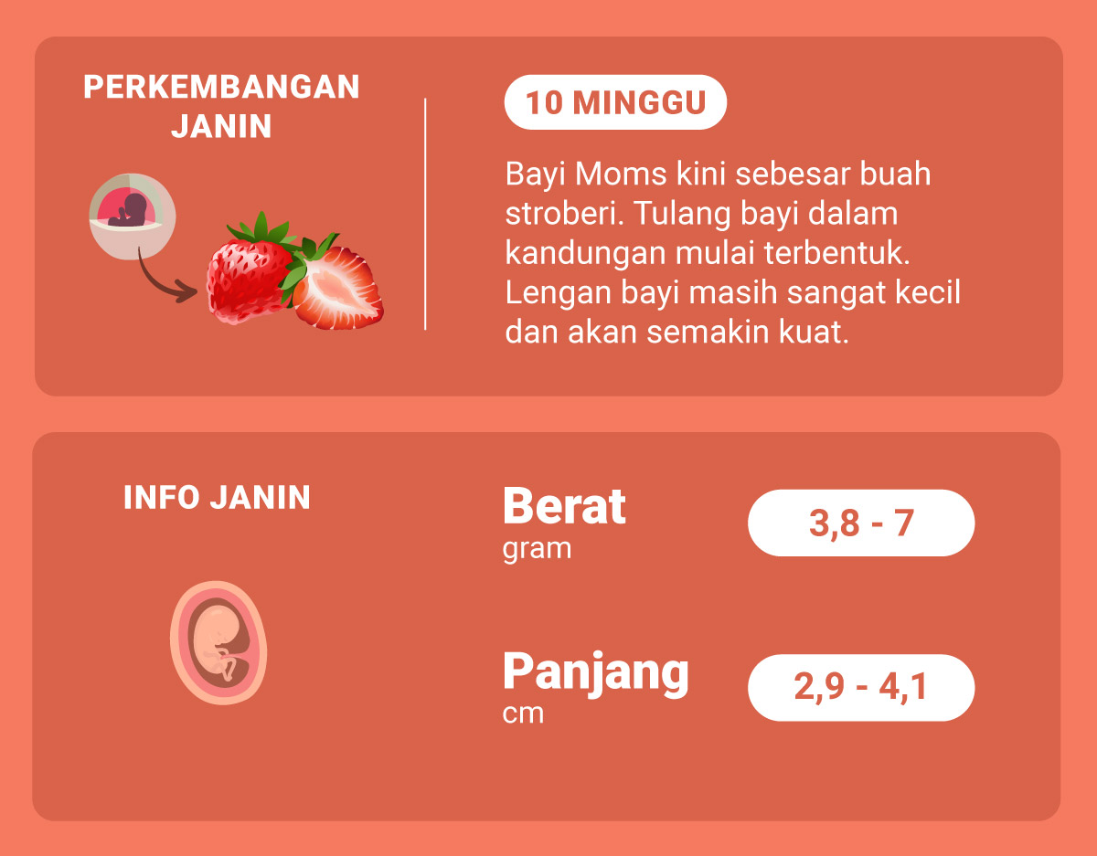 Detail Gambar Bayi 10 Minggu Nomer 8