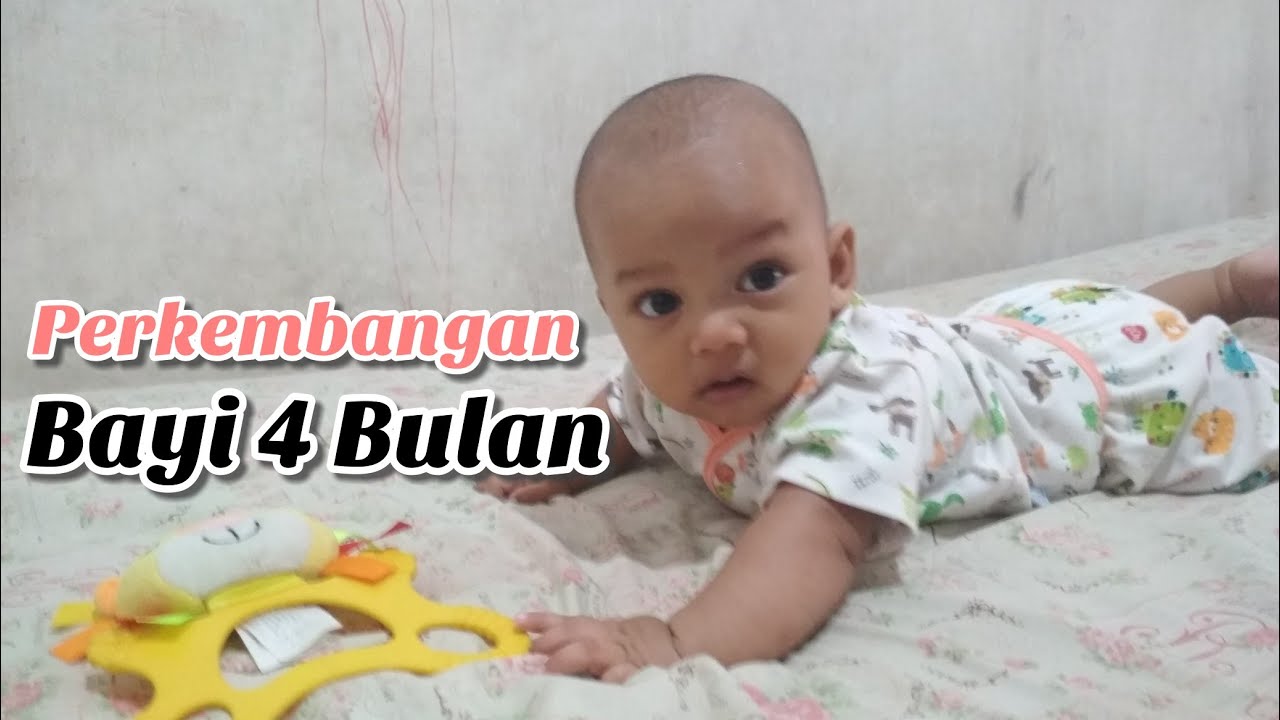 Detail Gambar Bayi 4 Bulan Nomer 10