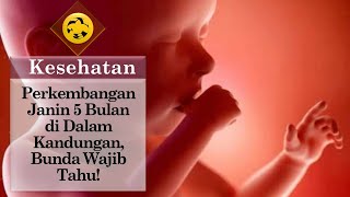 Detail Gambar Bayi 5 Bulan Dalam Kandungan Nomer 39