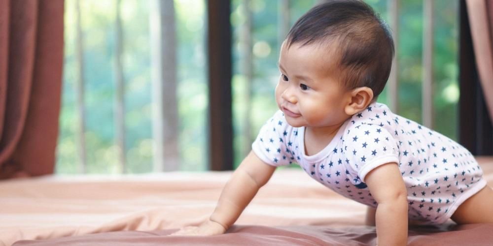 Detail Gambar Bayi 7 Bulan Nomer 4