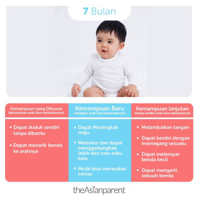 Detail Gambar Bayi 7 Bulan Nomer 9