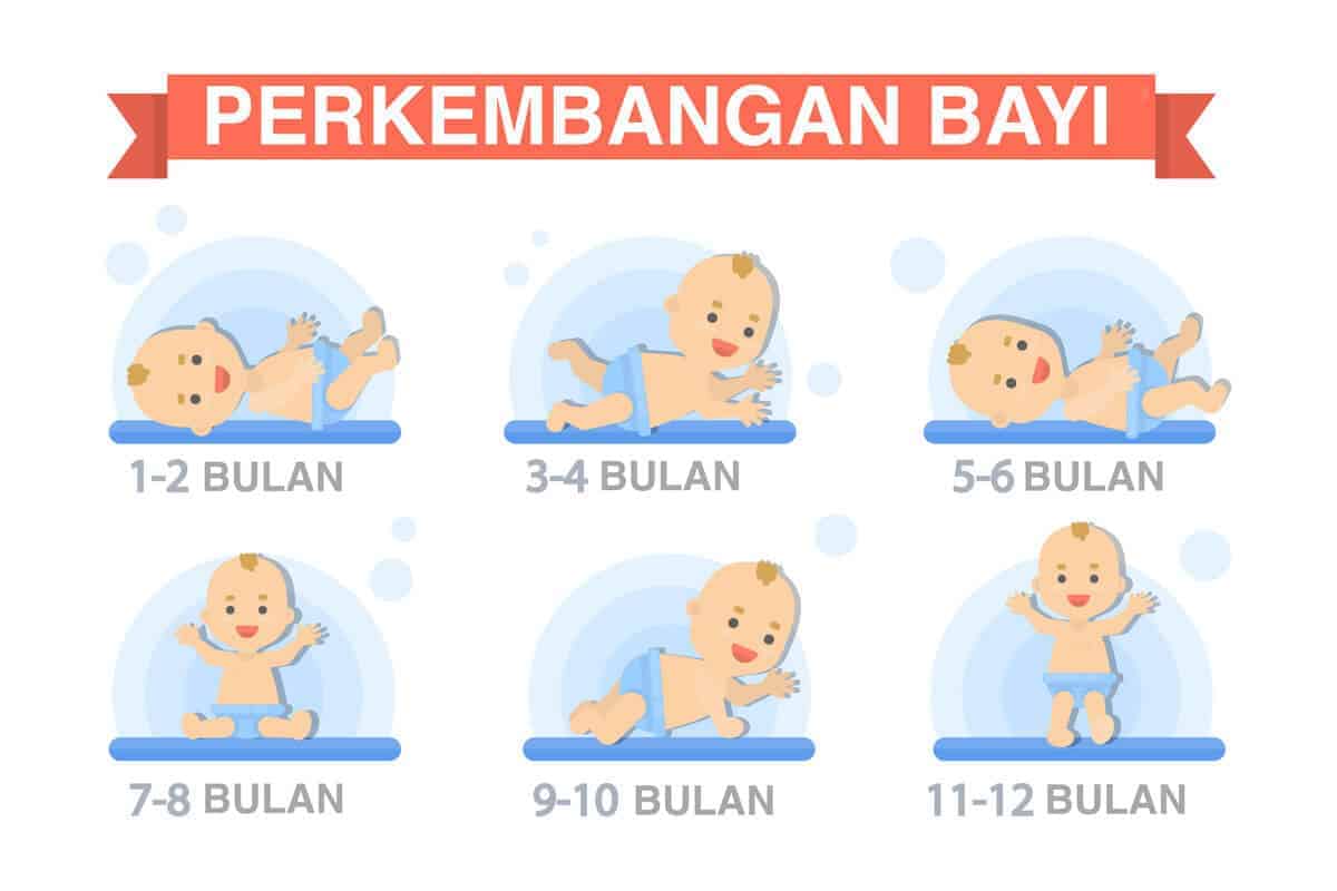 Detail Gambar Bayi 8 Bulan Nomer 37