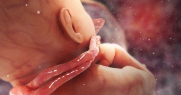 Detail Gambar Bayi 8 Bulan Dalam Kandungan Nomer 40