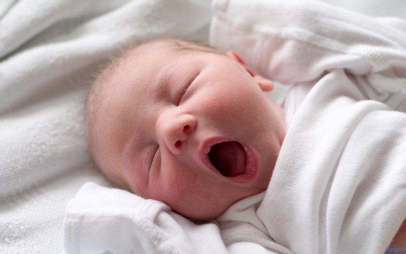 Detail Gambar Bayi Baru Lahir Lucu Nomer 30