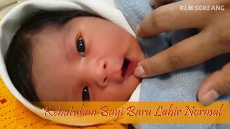 Detail Gambar Bayi Baru Lahir Normal Nomer 30