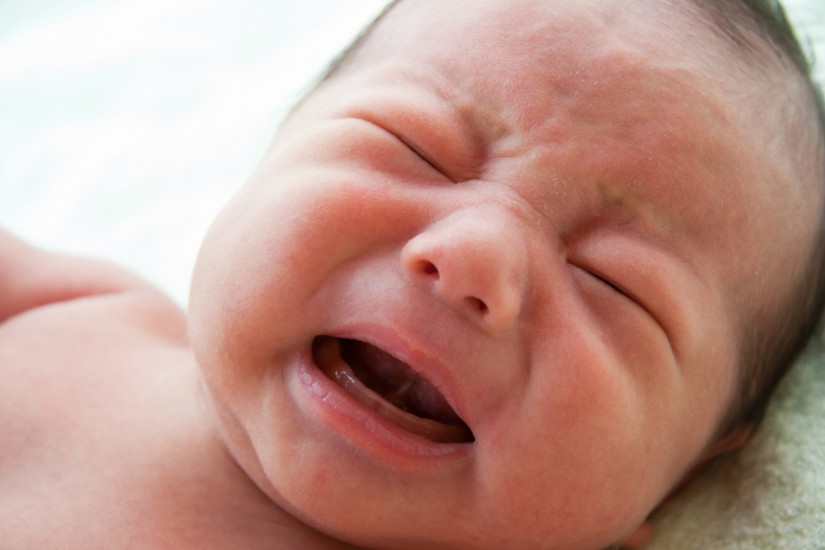 Detail Gambar Bayi Baru Lahir Yang Lucu Dan Imut Nomer 10