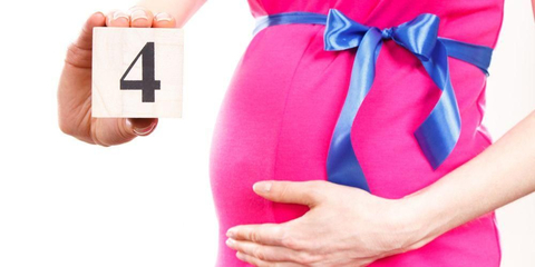 Detail Gambar Bayi Dalam Kandungan 4 Bulan Nomer 22