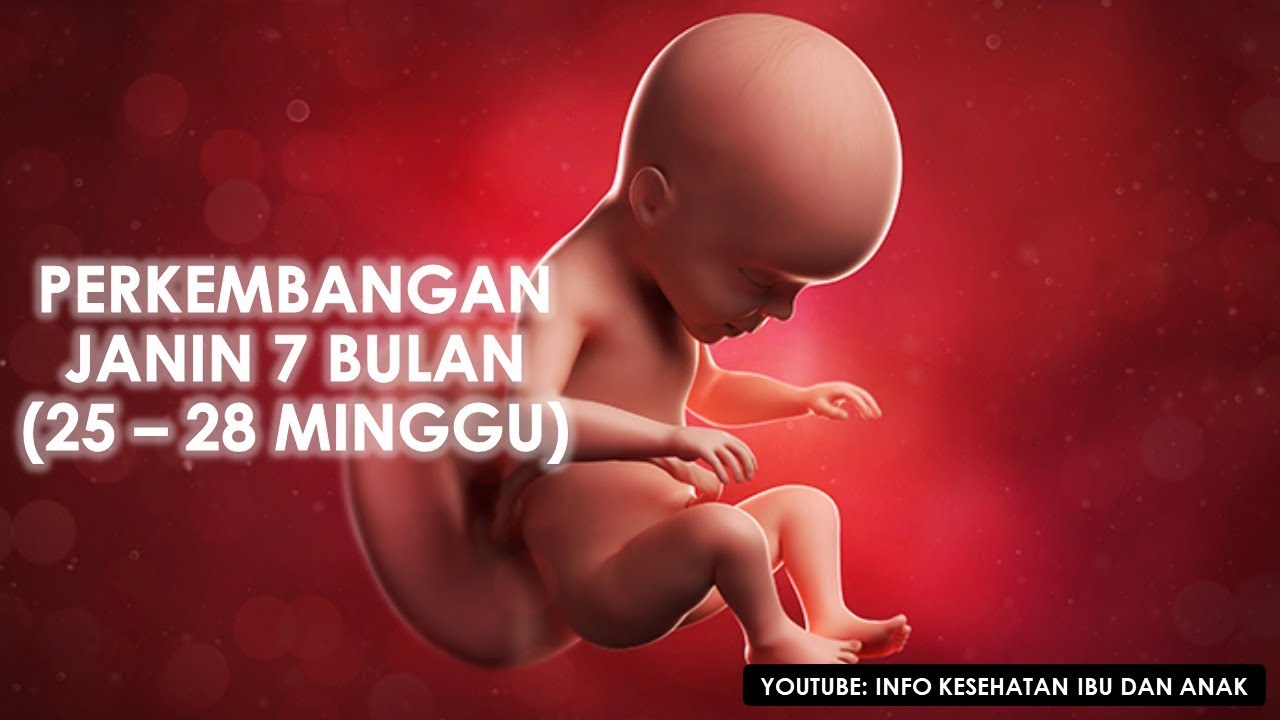 Detail Gambar Bayi Dalam Kandungan 7 Bulan Nomer 19