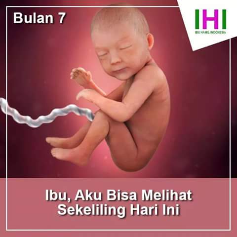 Detail Gambar Bayi Dalam Kandungan 7 Bulan Nomer 28