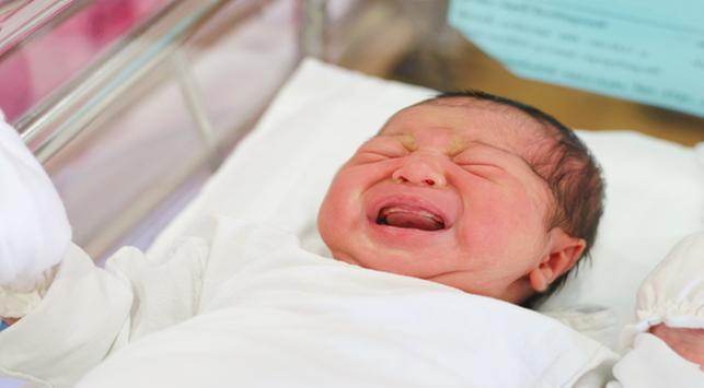 Detail Gambar Bayi Dalam Kandungan 7 Bulan Nomer 37