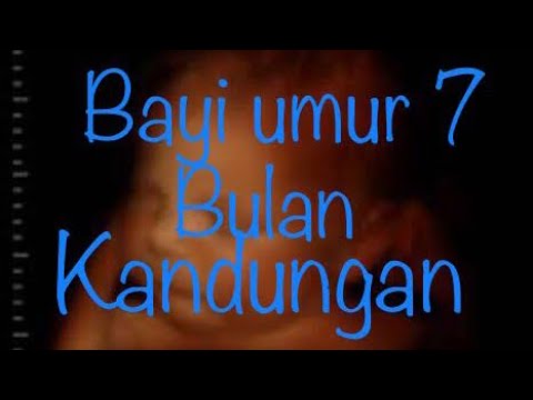 Detail Gambar Bayi Dalam Kandungan 7 Bulan Nomer 42