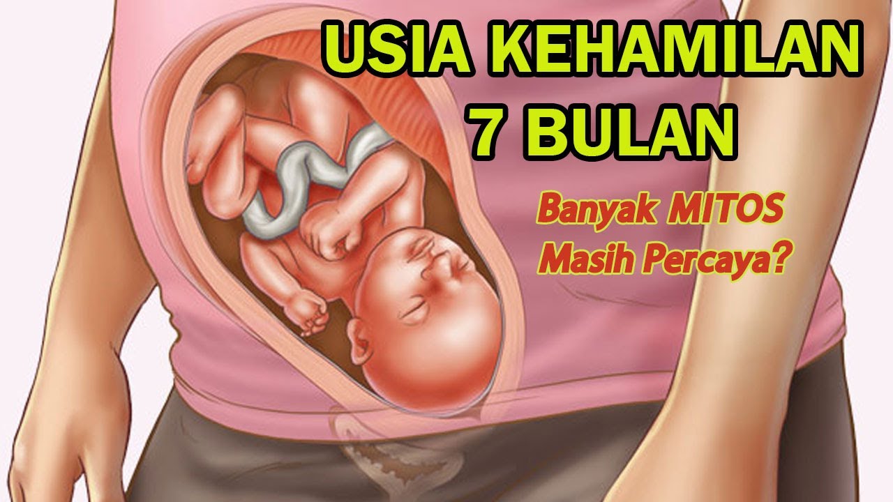 Detail Gambar Bayi Dalam Kandungan 7 Bulan Nomer 5