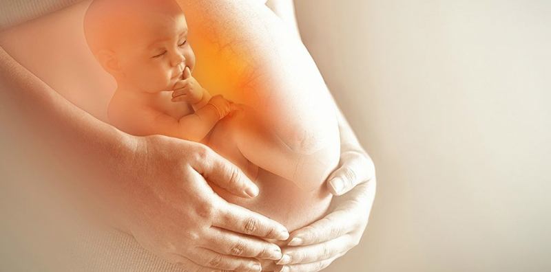 Detail Gambar Bayi Di Dalam Perut Nomer 12