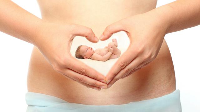 Detail Gambar Bayi Di Dalam Perut Nomer 39