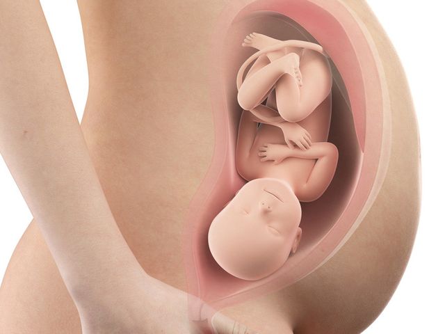 Detail Gambar Bayi Di Perut Nomer 4